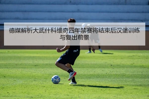 德媒解析大武什科维奇四年禁赛将结束后汉堡训练与复出前景